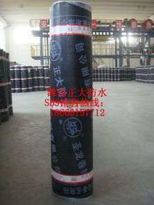 濰坊廠家供應圣龍牌SBS防水卷材 高品質聚酯胎材料助力河南建筑防水