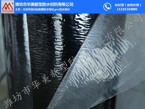 聚酯胎自粘防水卷材 華美防水在鹽城的應(yīng)用與優(yōu)勢(shì)